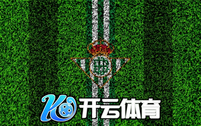 ky体育官网入口下载手机版相关图片