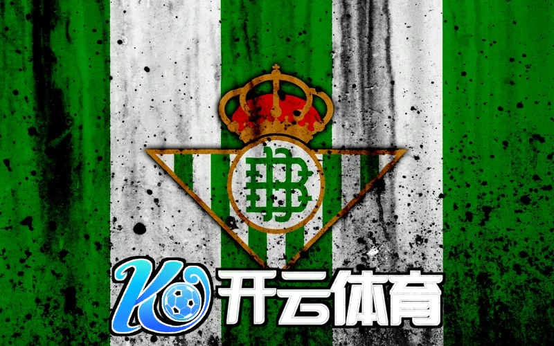 开云体育网站多场景互动体验