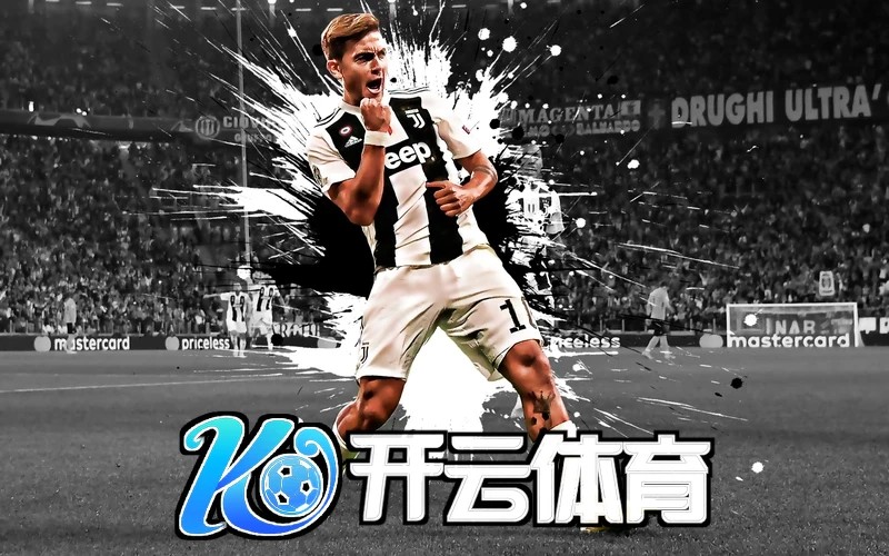 开云体育app官网登录钱包支付