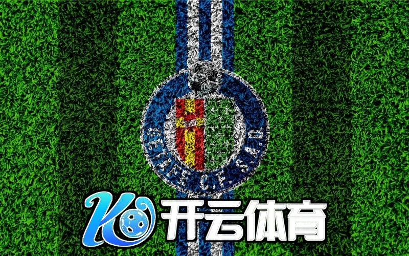 云开官网下载官方入口的用户支持展示