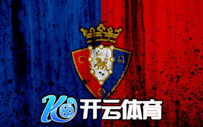 用户登录开云登入网址示例