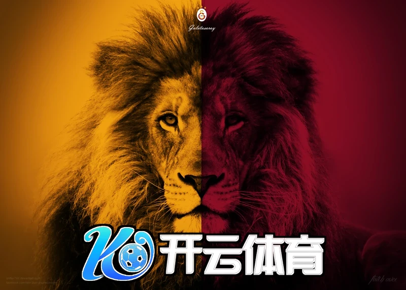 开元ky开元老版本旧版下载相关图片