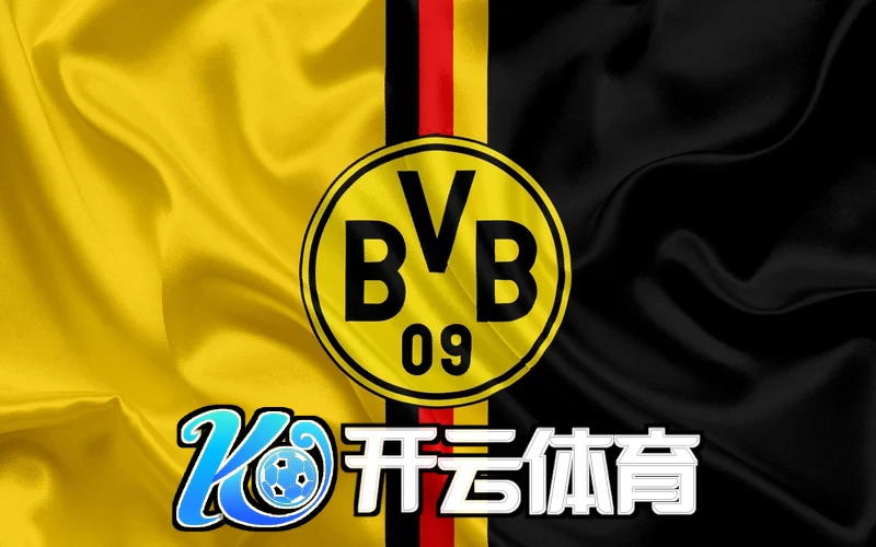 开云入口区域布局与产业协同示意图