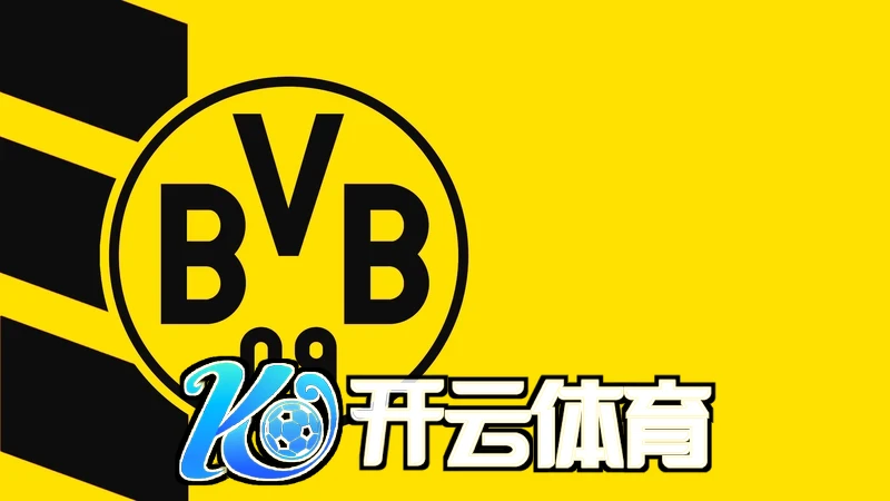 kaiyun体育app官网网页登录入口 用户界面