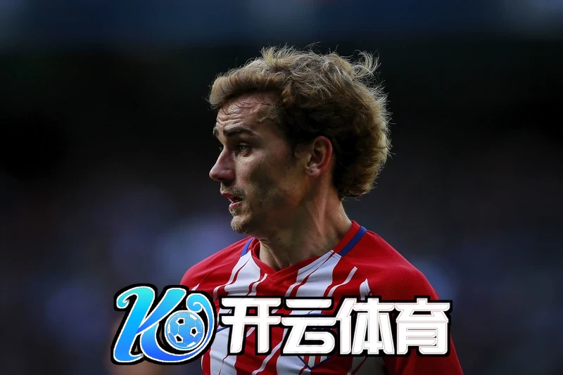 安卓版安全验证页