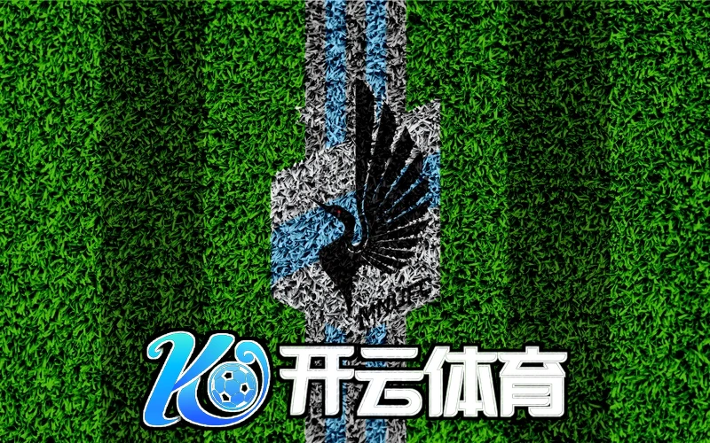 开云ky体育在线网址新特性图片
