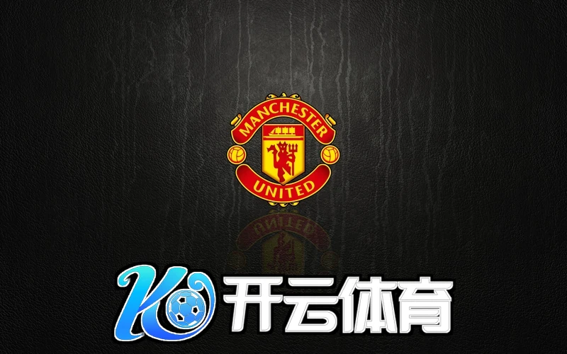 开云体育app网页版登录入口赛事界面