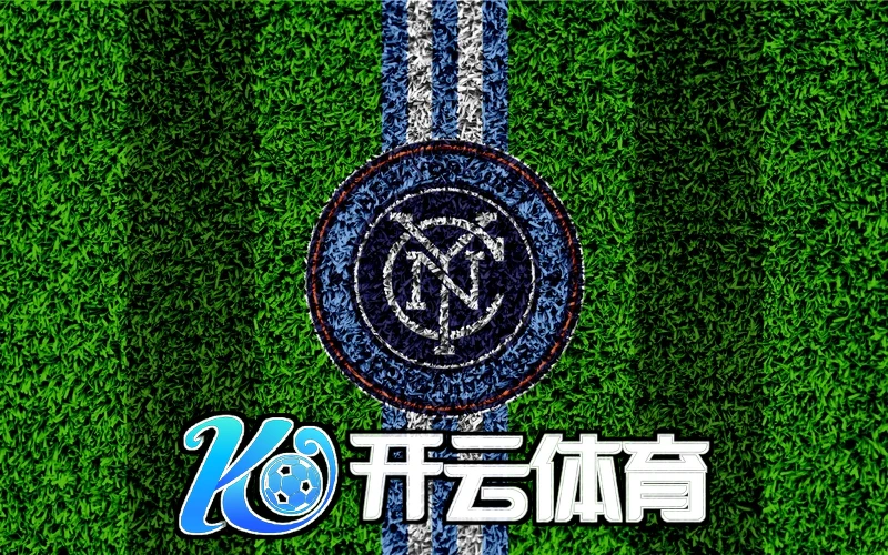 kaiyun全站网页版登录操作流程分步示意