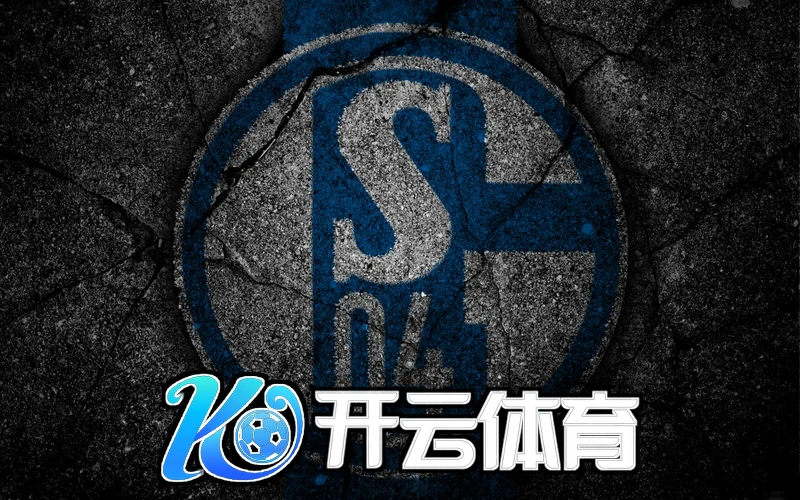 开云体育在线入口后续演进路线图
