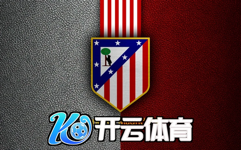 开云在线官网登录app信息核验配图