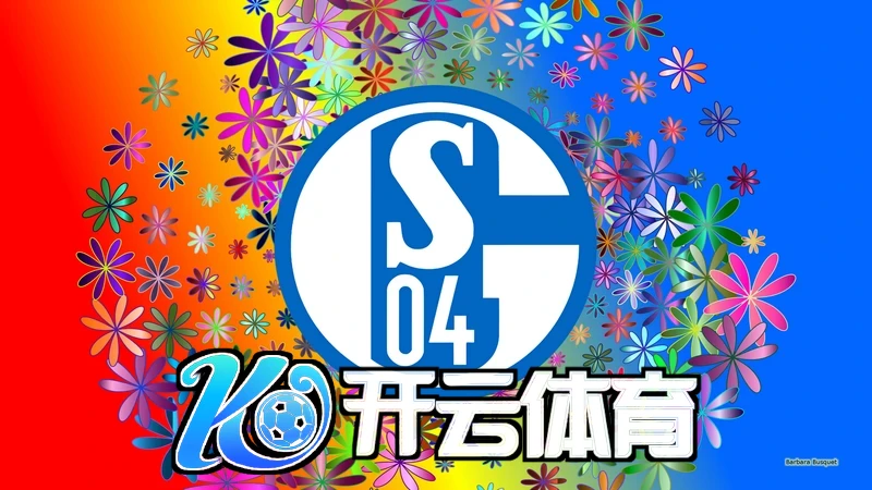 ky体育官方入口相关图片