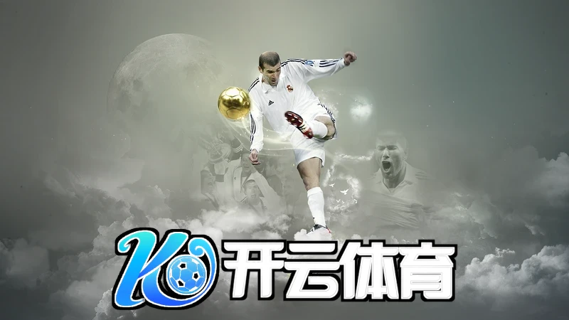 www.kaiyun.com账户安全设置与登录记录页面示意
