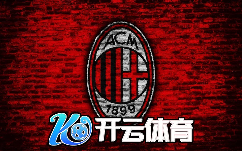 用户在使用2026云开体育app
