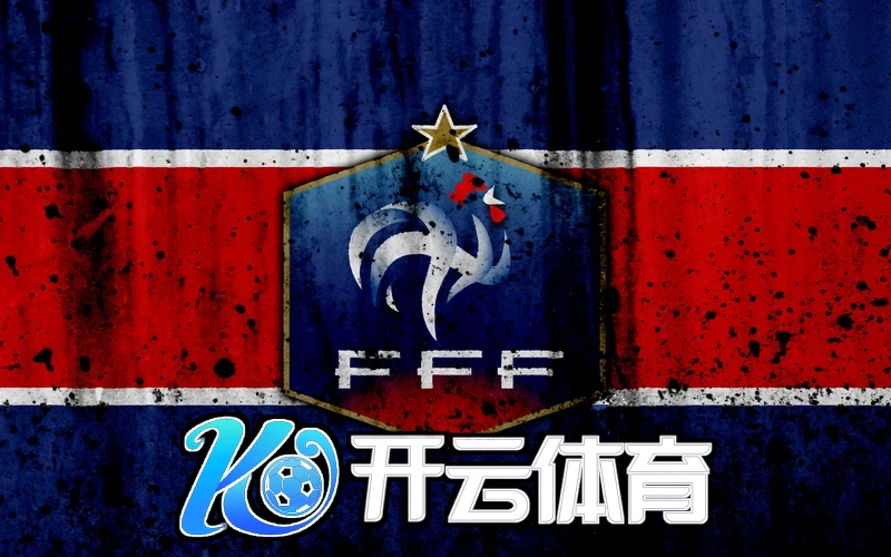 全面解析6686官方版app下载的功能与优势