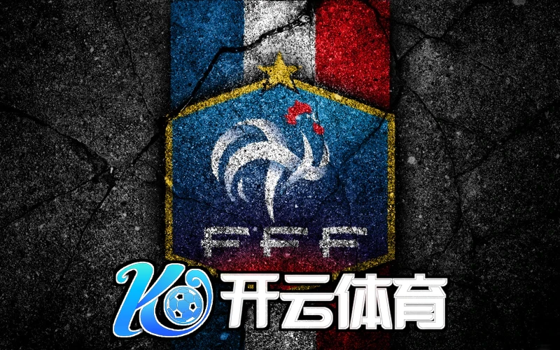 开云体云app官网初期界面截图
