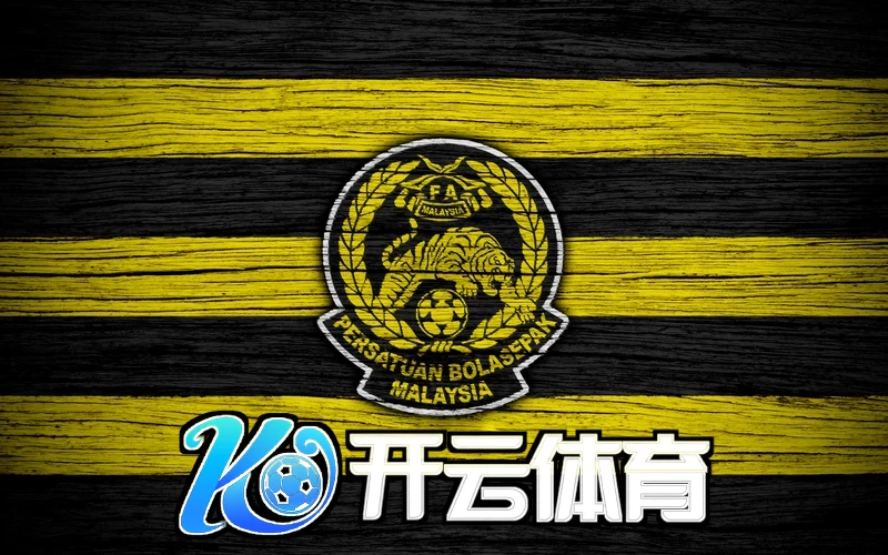 开云app最新版本下载相关图片