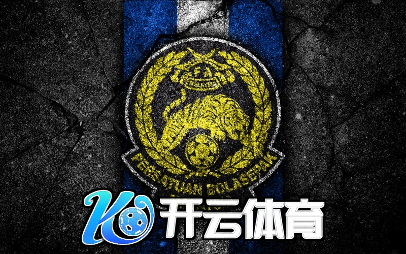 云开官方网站入口APP下载相关图片