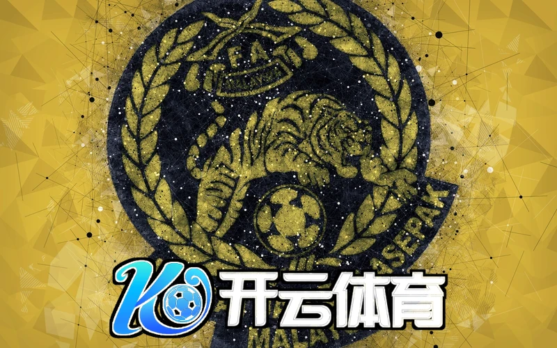 未来发展前景