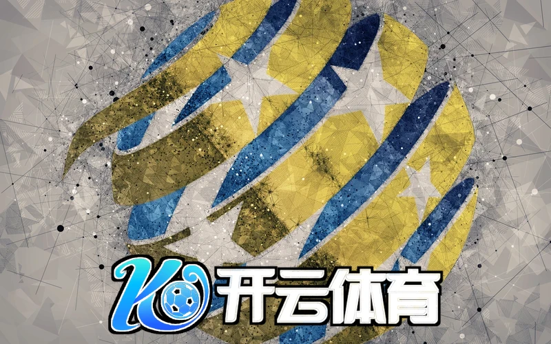 kaiyun体育网页版登录界面截图