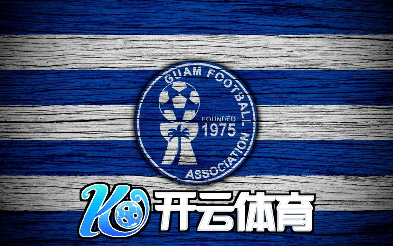 开云手机官方网站入口相关图片