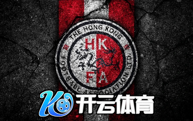 用户反馈