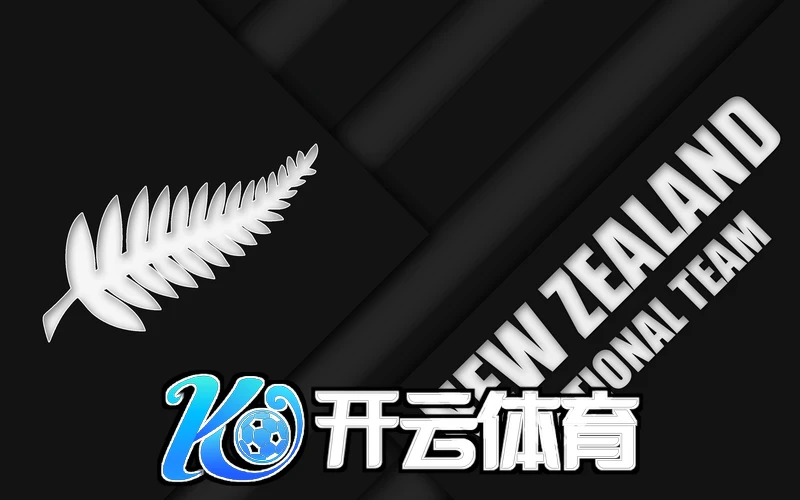Kaiyun登录快捷入口相关图片