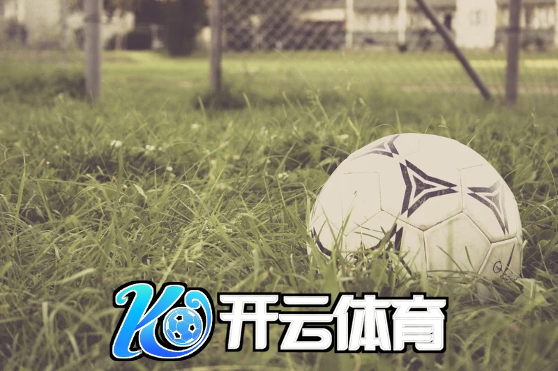 云开·全站app官方网站下载(官方)官方未来功能规划路线图