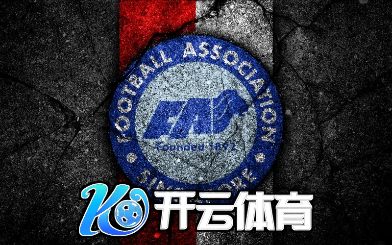 云开官方网站入口网址是什么相关图片