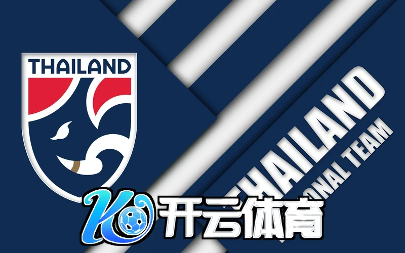 用户反馈