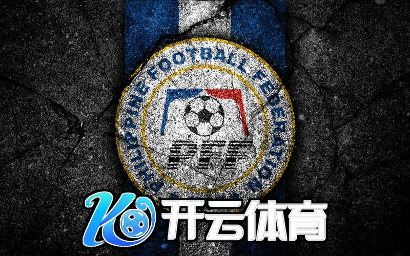 云开体育官网入口相关图片