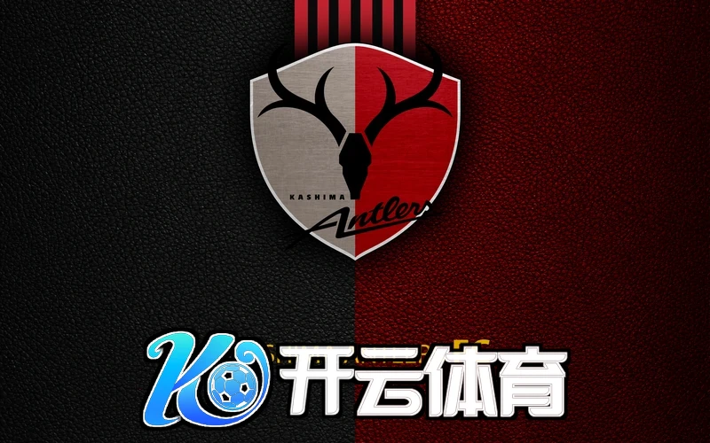 kaiyun体育全站网页相关图片