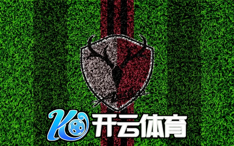 kaiyun体育官网登录入口登录界面截图