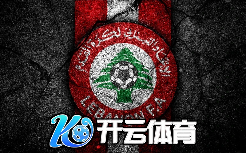 kaiyun体育app官网登录入口功能模块与导航结构相关图片