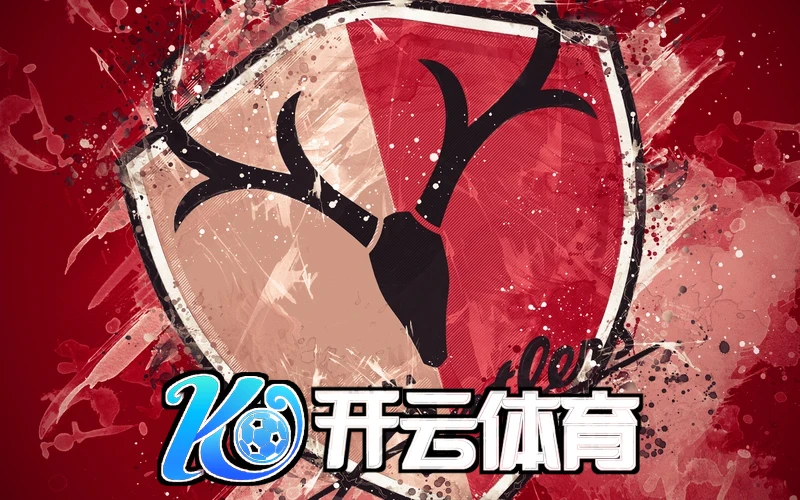 开云体育app网页版入口相关图片
