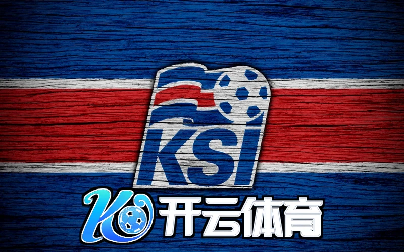 Kaiyun(云开) 用户反馈会议