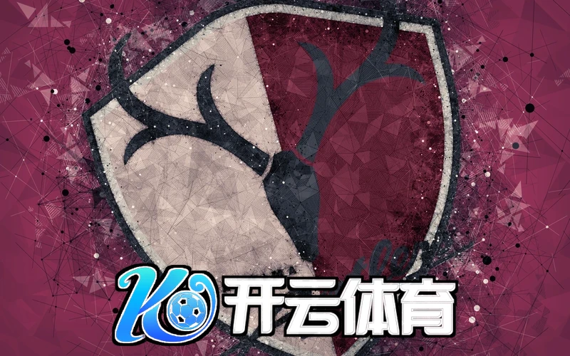 开云体育网页奖金制度