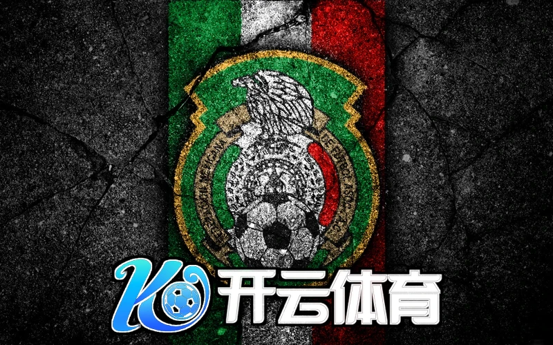 kaiyun体育app官方网站入口相关图片