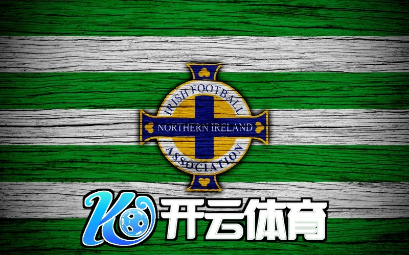 kaiyun全站网页版登录入口竞速界面示意图
