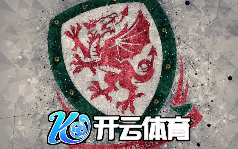 云开体育app官网入口未来目标展望