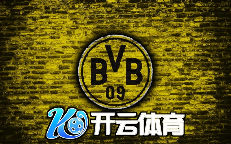开云(Kaiyun)·官方网站用户反馈