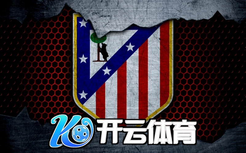 云开官方网站登录入口界面设计