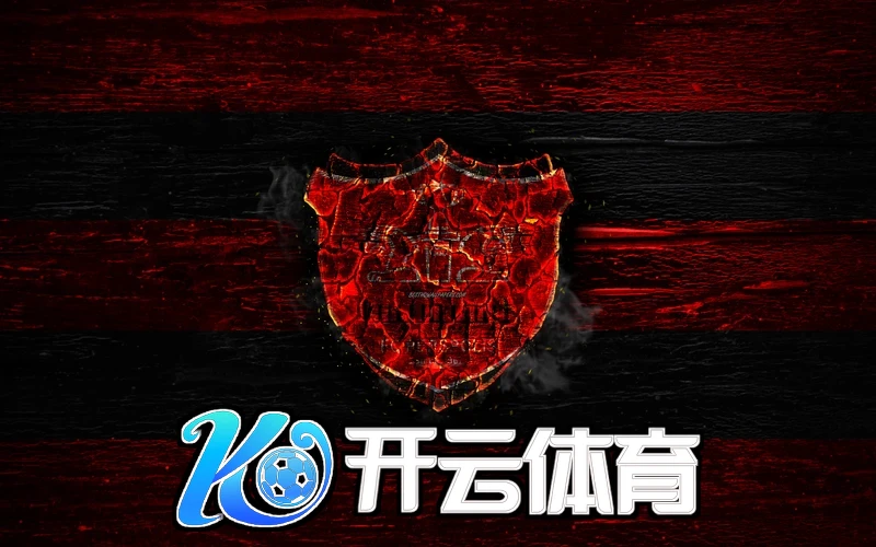 开云体育app相关图片