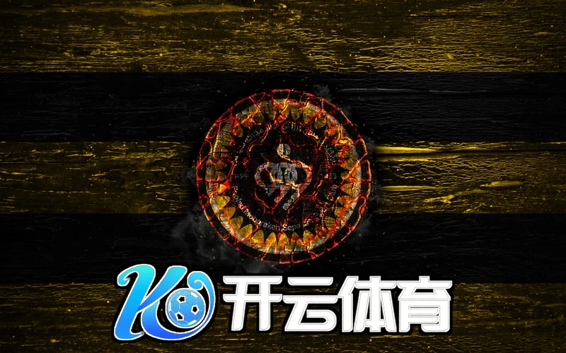 Kaiyun体育app登录入口新功能发布会现场
