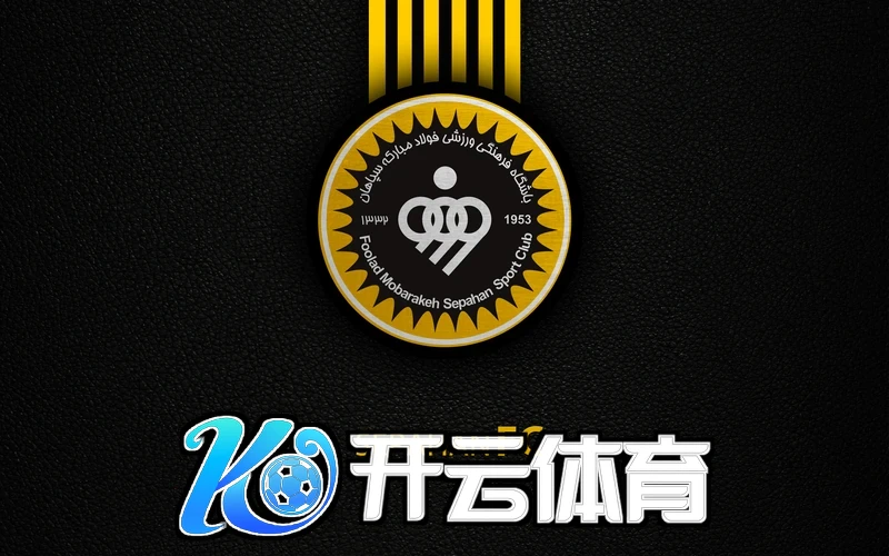 开云体云app官方网站界面