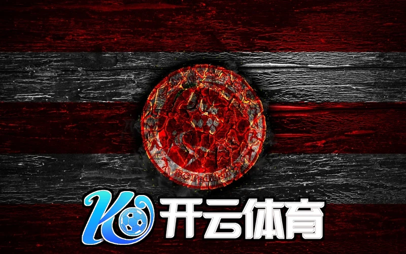 用户反馈分析