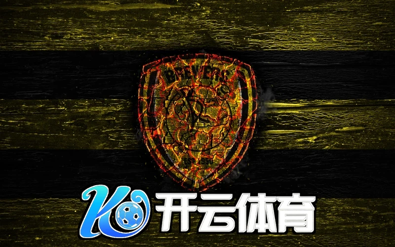 用户反馈示意图
