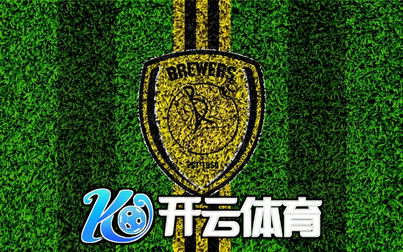云开官方网站入口网址是什么相关图片