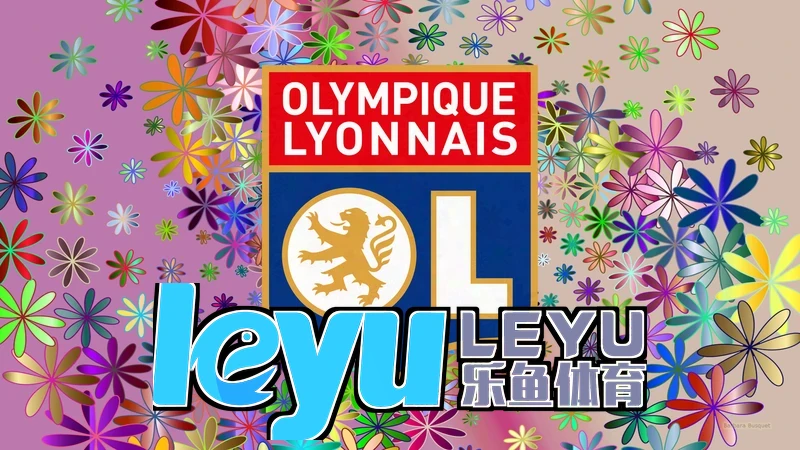 leyu乐鱼官方版用户资金流水与推广链路调查示意图