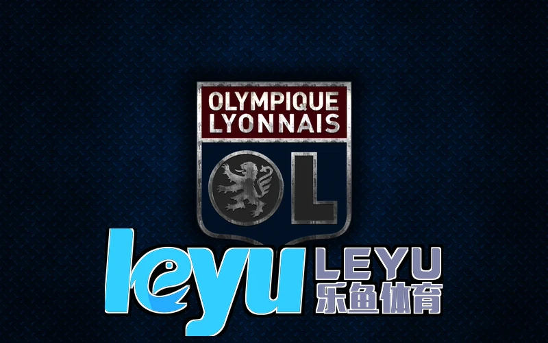 乐鱼leyu官网下载应用前景示意
