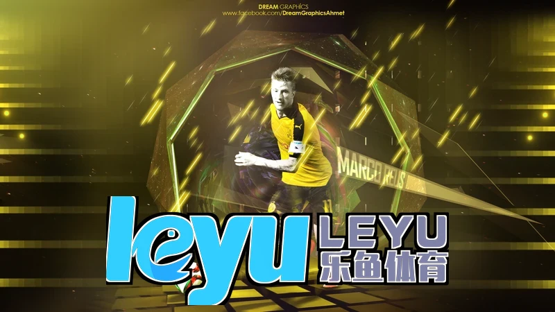 乐鱼leyu登录入口相关图片，展示数字化入口的价值演进